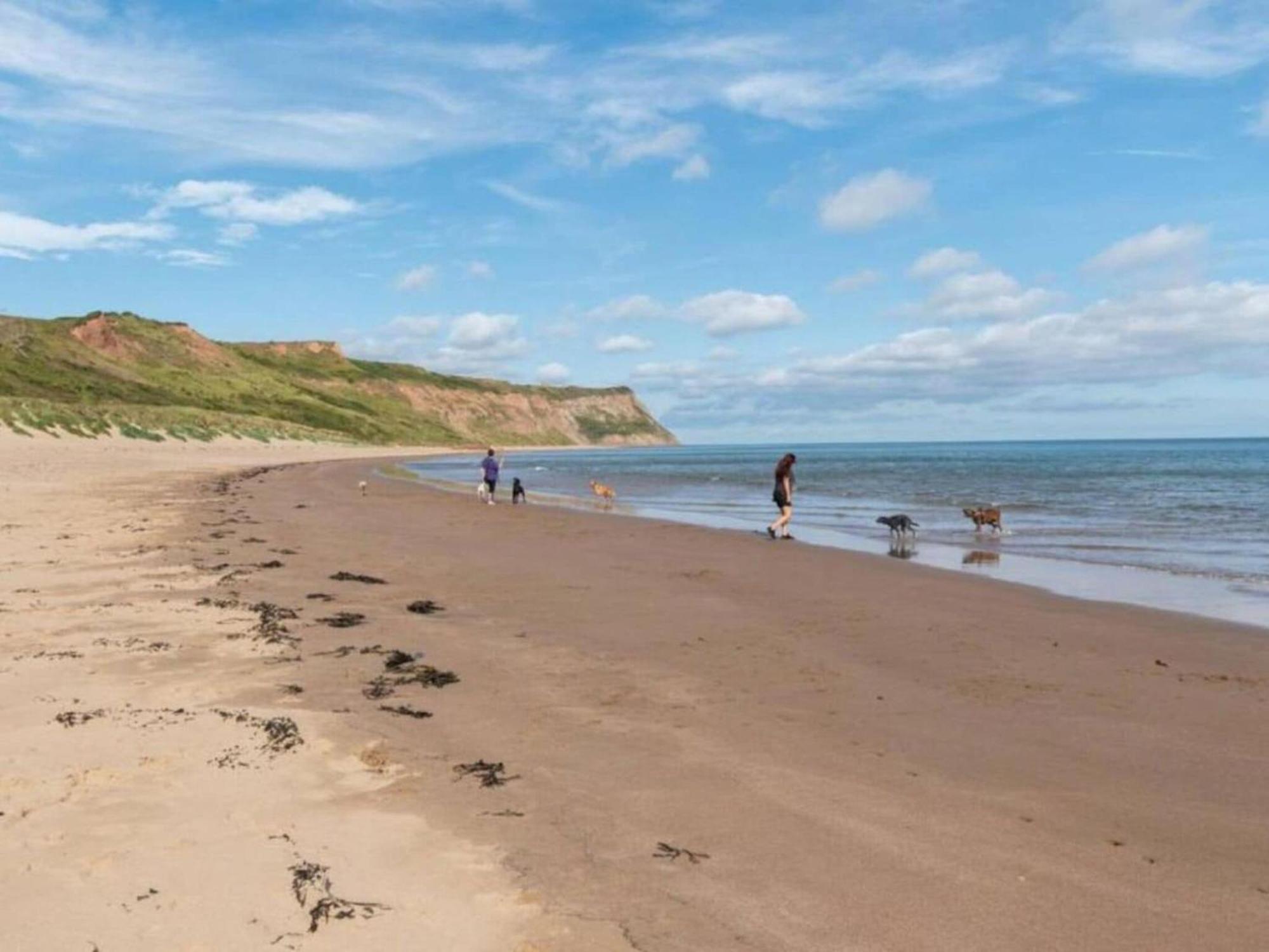 Seasalt Twobedroom Apt In Skinningrove Екстер'єр фото